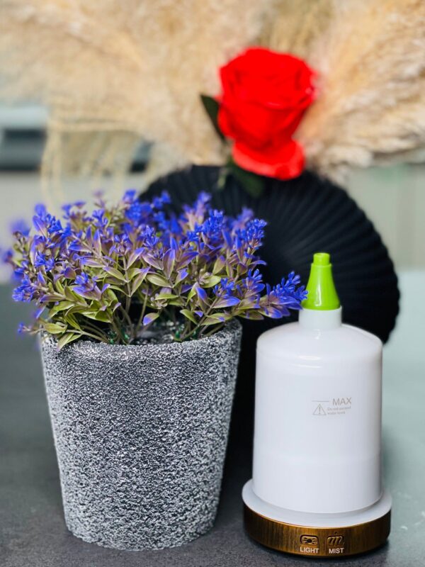 WhatsApp Image 2025-10-14 at 12.34.42_8fb0d7fb Humidifier & Aroma Diffuser