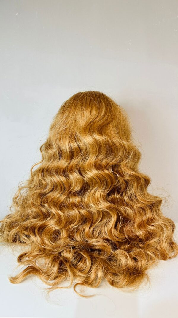 Premium Heat Resistant Synthetic Fiber. 6x13 Lace Front