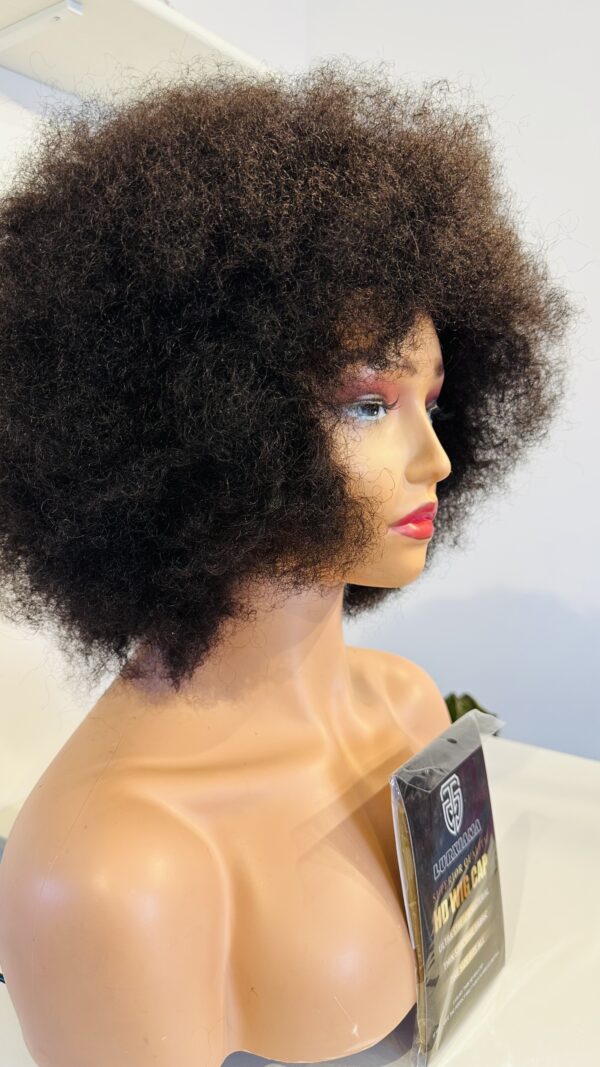 IMG_1505 Brazilian Afro kinky wig