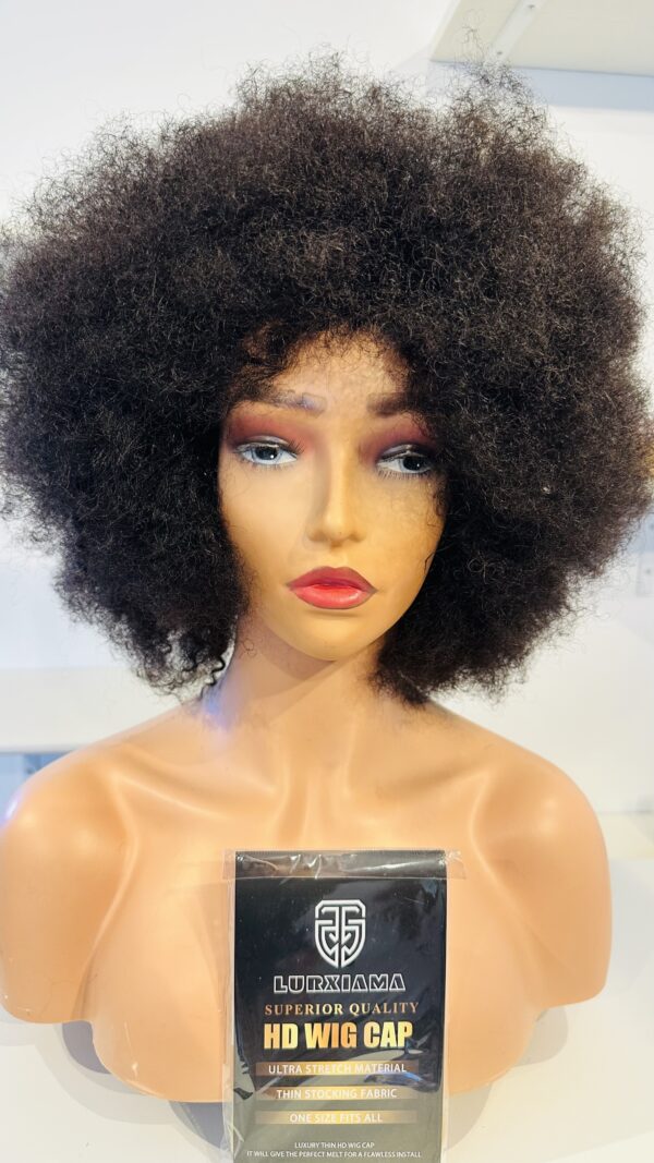IMG_1507 Brazilian Afro kinky wig