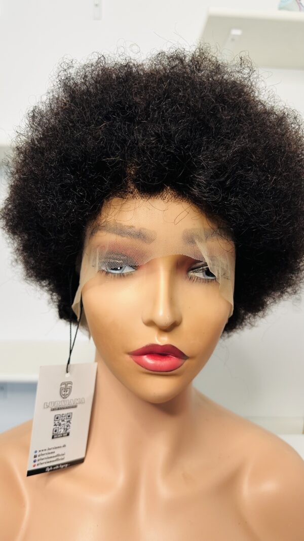 Natural 4C Human Hair Wig