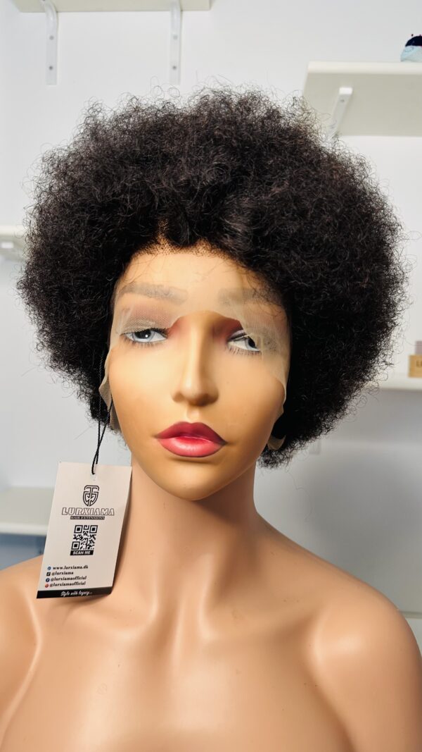 Natural 4C Human Hair Wig