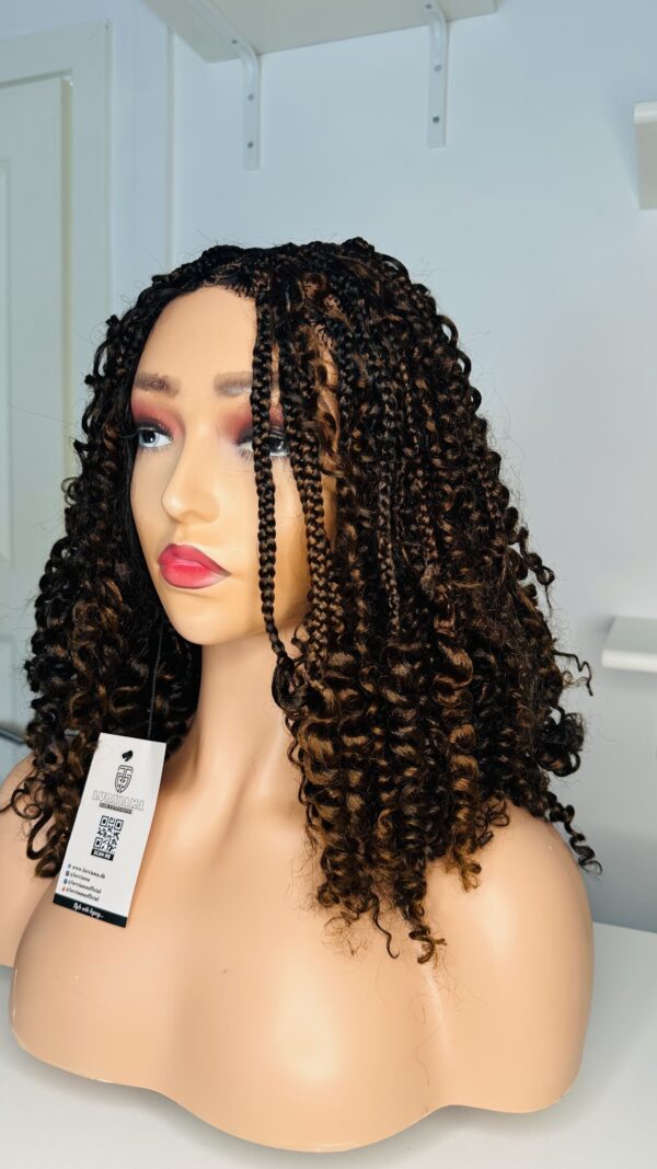 IMG_1597 Braided Curl Wig