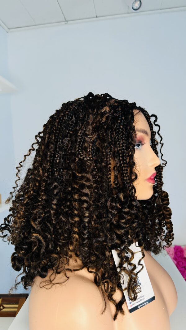 IMG_1599 Braided Curl Wig