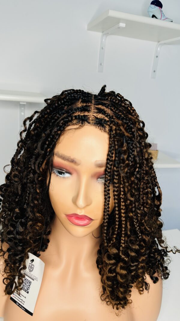 IMG_1601 Braided Curl Wig