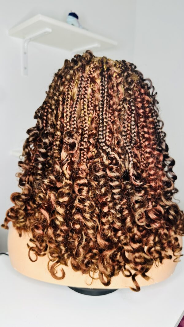 IMG_1635 Braided wig