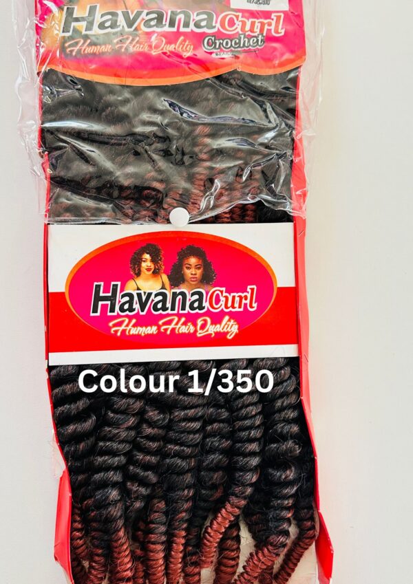 Number Cards 1 - 30 - 4 Havana curls